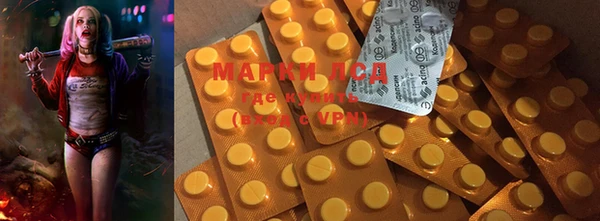 ECSTASY Вяземский