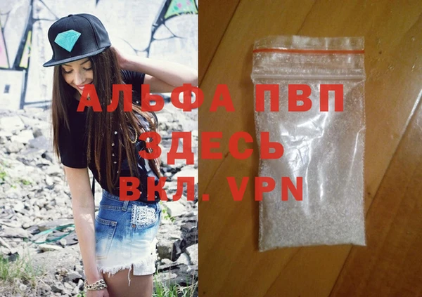 ECSTASY Вяземский