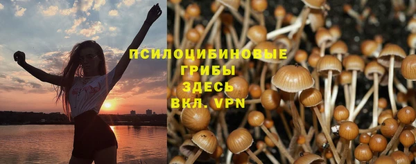 ECSTASY Вяземский