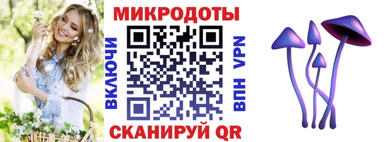 Купить где  Отрадная  Псилоцибиновые грибы Psilocybe 